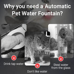 Smart Pet Water Fountain Automatic Pet Water Dispense