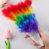 Feather Rainbow Fans Handheld 