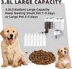 Gravity Pet Feeder and Water Dispenser Set